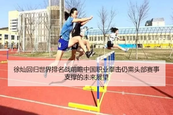 徐灿回归世界排名战前瞻中国职业拳击仍需头部赛事支撑的未来展望