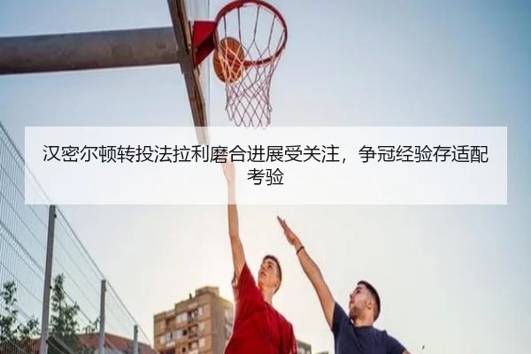 han-mi-er-dun-zhuan-tou-fa-la-li-mo-he-jin-zhan-shou-guan-zhu-zheng-guan-jing-yan-cun-shi-pei-kao-yan-2-525.jpg
